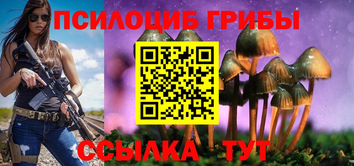 Псилоцибиновые грибы Cubensis  Вход с VPN  Десногорск 
